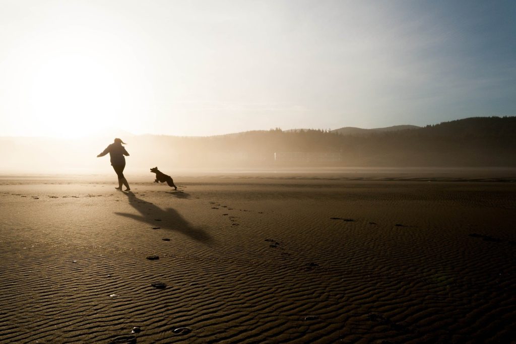 Vakantie aan zee met hond