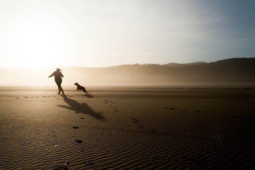 Vakantie aan zee met hond